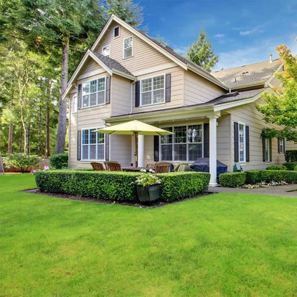 Four Seasons Evergreen Grass Seeds for Beautiful Grass – BUY 1 GET 1 FREE